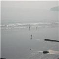 Dawlish Beach in Autumn